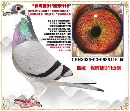 ����ʱ��911ȫ�ֵ�ֱ�ӡ�911ֱ��Ů�����׻�Ѫ