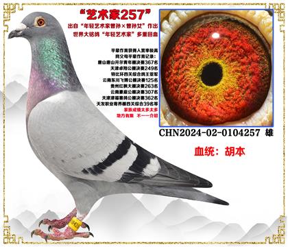 �������������������������Ů���������׻�Ѫ