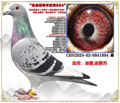 �ϻ�.�����ա���ѻ��ض�����ֱ�ӡ���ѻ��ض����ס�