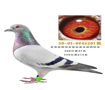 ���ҳɼ���201