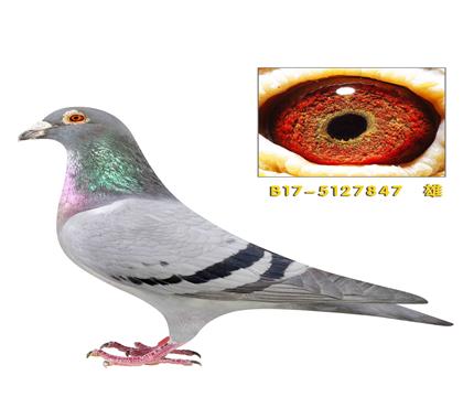 ���ֿ�˹�������������166��847