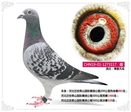 �ӱ�Ǩ����ɽ�������빫��500�������526��   ��