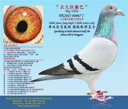 �����x�ϵҠ��Ͷ��ؽ��H