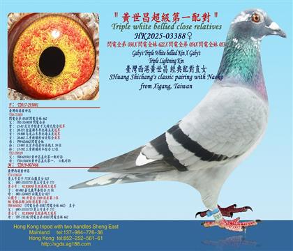 ���S����������һ�䌦���W�ȫ��038X�W�ȫ��662