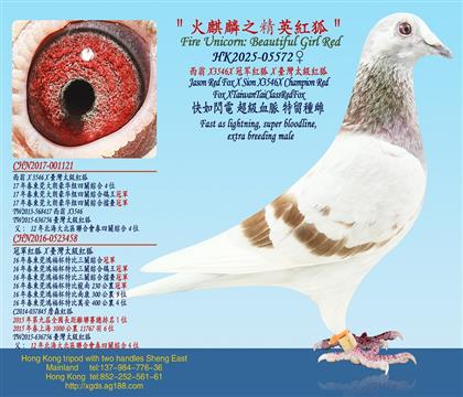 ����X3546X��܊�t��X�_��̫���t��