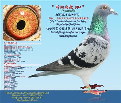 ���Ͽˡ������������޵�675X�w�Ȼ��M�à�ֱ�O