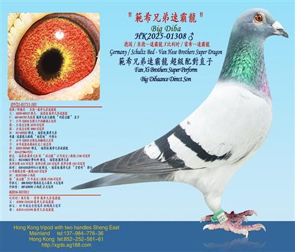 �¹�/ؐ�¡��ٰ���X ����ʱ/��ϣ���ٰ���