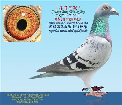 ղɭ�����к��߱�����