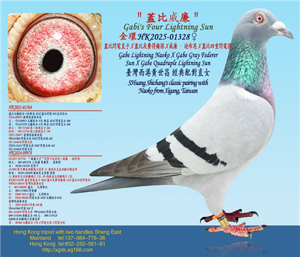 �w���W�ֱ��X�w�Ȼ��M�à��OX�������ϲ���X�w�������W늌O