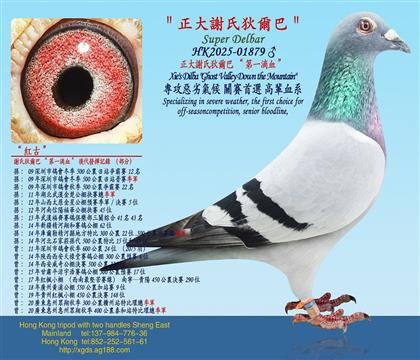 �����x�ϵҠ��͡���һ�CѪ��