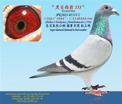 ��4������X������ϣ������ X ����Ŀ��˹������X3546��