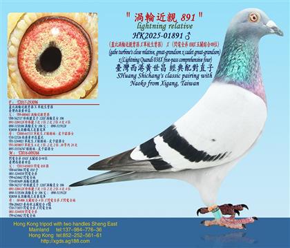 ���w�Ȝu݆���H���OX܊У�����O��X���W�ȫ��038X���P�C��