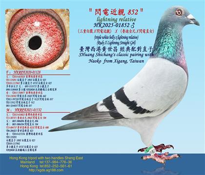 �����ذ׸�X�W늽��H��X������ȫ��X�W�ֱŮ��