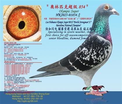 ���W���R����˹�W��ƥ�˳���003X�����Ώ���̖��X����ِ�_��