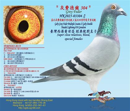 �ǱȻ��M� ����ؽ��HX�Ǳ������W늶��ؽ��H