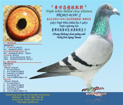 �Ǳ�����ۺ�4λ��X�Ǳ��W늳�����һ�䌦����