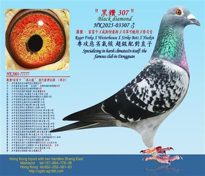 �_�ܡ����׿�X��˹�غ�˹X˾����U��X��˾��