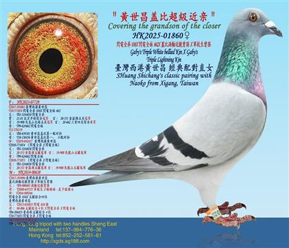 ��һ����W�ȫ��X�W�ȫ��X�w�Ȝu݆���H���OX܊У�����O