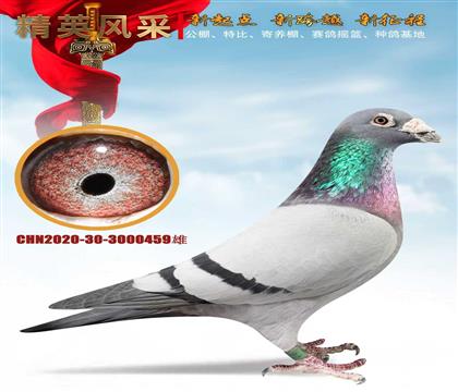 Ҽ�Ÿ�������ˡ�����