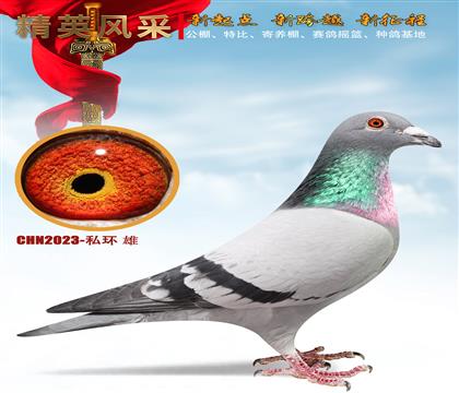 ��ʱ��911Ѫϵ���Ǳ�4545��Ѫ��