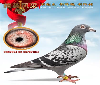 ���Դ���������������������ʸ�����λ