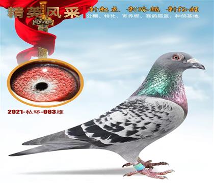 ʵս�������塢��ѫ��