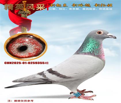 �Ƹܴơ�300����114��