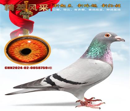 ���˴��������