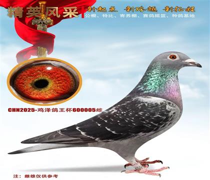 ��õ�塢����ˬ��Ƥ