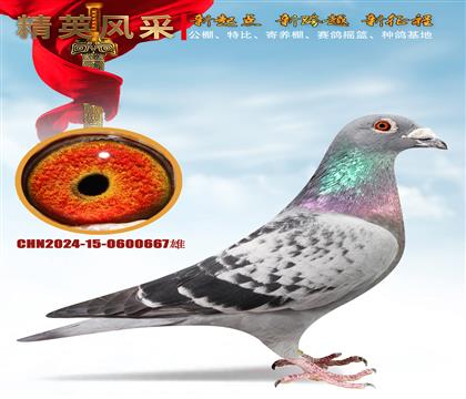 �������������������˹