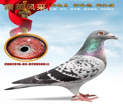 ʯ����ɣ��ʿ����Դ�