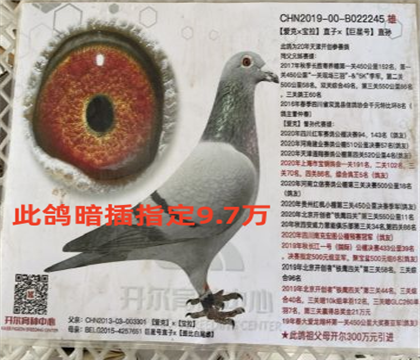 �����ص��Ƽ� ������ҵ