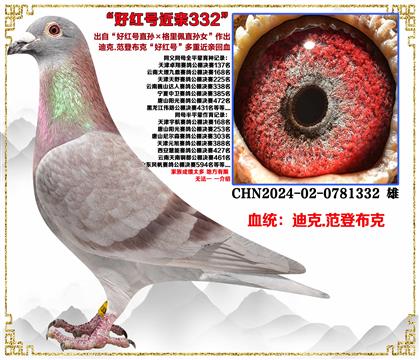 ���ص��Ƽ����Ͽ˷��ǲ��ˡ��ú��ֱ���������ֱ��Ů����������