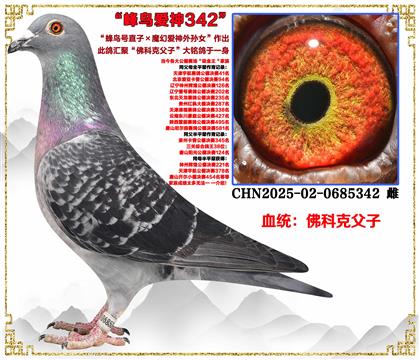 ���ص��Ƽ�����ƿ˸��ӡ������ֱ�ӡ�ħ�ð�������Ů��