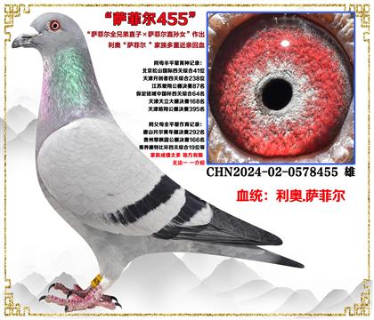 ���¡����ƶ�ȫ�ֵ�ֱ�ӡ����ƶ�ֱ��Ů�����׻�Ѫ