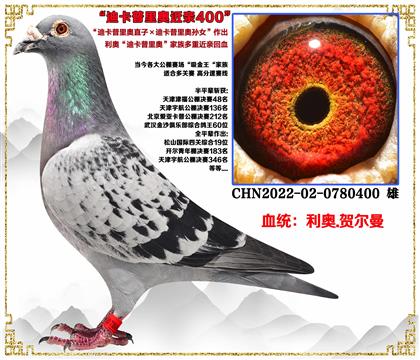 ���¡��Ͽ������ֱ��X�Ͽ������ֱ��Ů�����׻�Ѫ