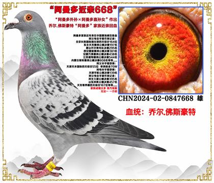 �Ƕ�.��˹���ء������������������ֱ��Ů�����׻�Ѫ