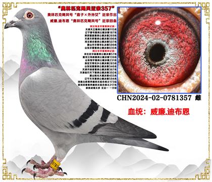 ����.�ϲ���������ƥ��쫷�š���ֱ�ӡ�����Ů����������