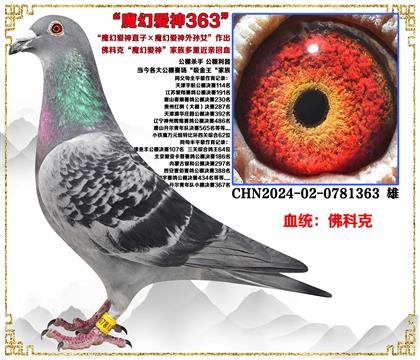 ��ƿˡ�ħ�ð���ֱ�ӡ�ħ�ð�������Ů����������