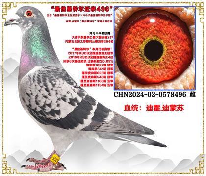 �ϻ�.�����ա���ѻ��ض�ȫ�ֵ�ֱ�ӡ���С����ѻ��ض�ȫƽ����
