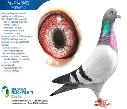 �����˹ԭ�᣺������Ѫ���