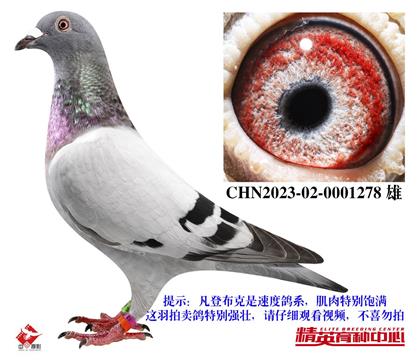 ŷ�������ǲ����������