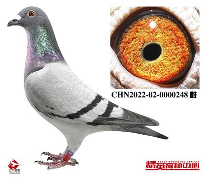 ŷ�����ǲ�������������Ƹ�