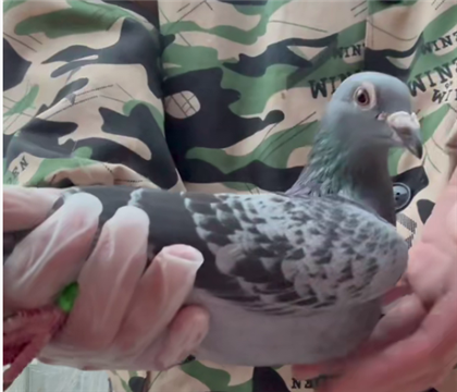 �����������ȫ������ϵ  �Ƹ�