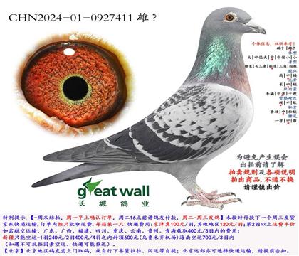 ���ǰ�����900���411