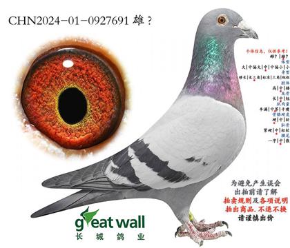 ���ǰ�����900���691