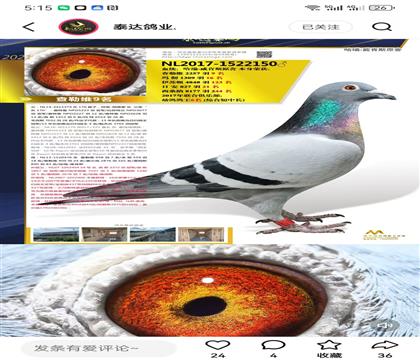 ��������˹ԭ�� ����ά9��