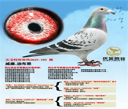 ����.�ϲ���������ƥ��쫷�š�ֱ��x��ī�ƶ��ɡ�����