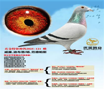 ����.�ϲ�����ī�ƶ��ɡ�ֱ��x��.������˹�����޺š�����