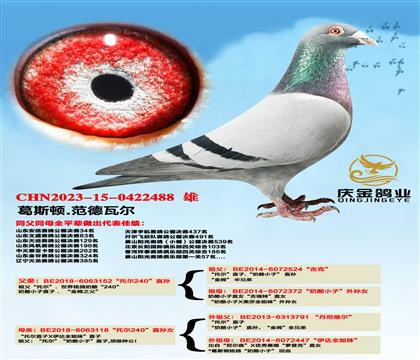 ��˹��.�����߶����ж�240��ֱ��x���ж�240��ֱ��Ů